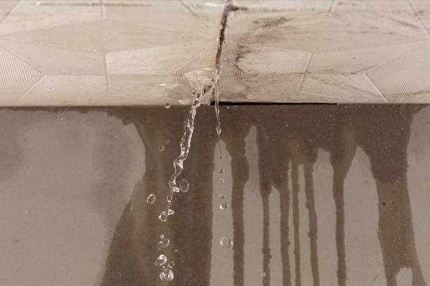 Professional Structural Drying technician working in Wyandotte, OK